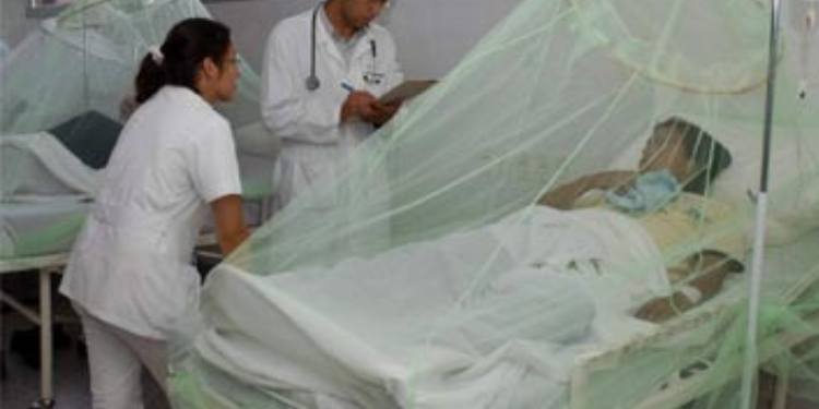 Declarada emergencia en salud pública por Dengue Hemorrágico en Ibagué