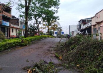 Así avanza el seguimiento de las emergencias por fuerte vendaval