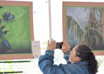 La biodiversidad tolimense se digitaliza