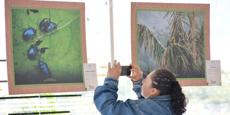La biodiversidad tolimense se digitaliza