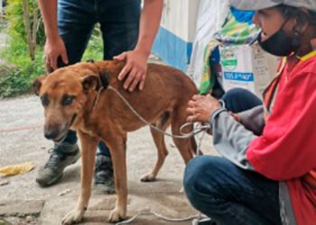 Capa atiende llamado de la comunidad para rescatar a ‘Firulais’