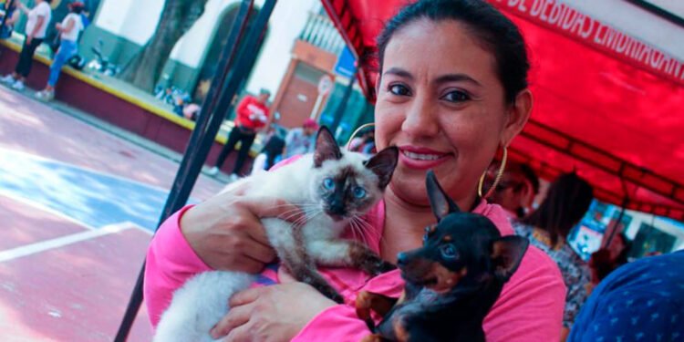 Vacunación antirrábica y chips de identificación para mascotas llegan al Coliseo San Cayetano