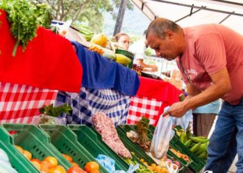 Mercados campesinos llegarán hasta la Arboleda Campestre