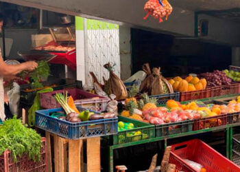 Atención: bajó la carne de res, pero subieron las carnes de cerdo y pollo ¡Están intocables!