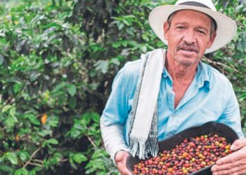 Se buscan negocios que hagan parte de la industria del café en Ibagué