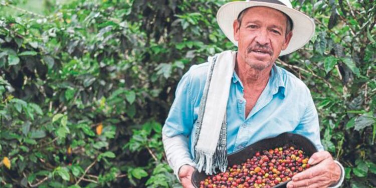 Se buscan negocios que hagan parte de la industria del café en Ibagué