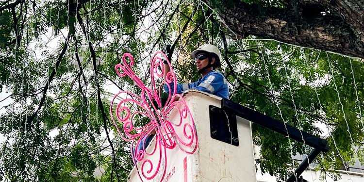 Inicia la instalación del alumbrado navideño por la carrera Quinta