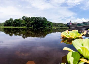 Cortolima ha invertido más de $75.663 millones en mitigación y adaptación al cambio climático