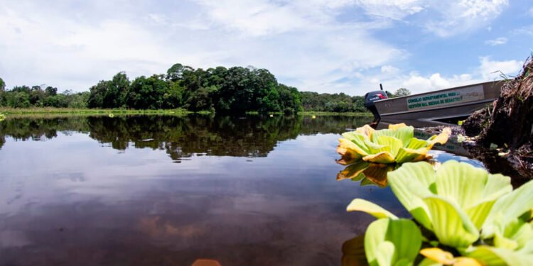 Cortolima ha invertido más de $75.663 millones en mitigación y adaptación al cambio climático