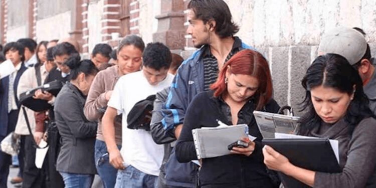 Comfenalco Tolima y el Sena realizarán en noviembre el mes de la Empleabilidad