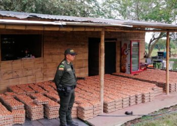 85.000 mil huevos fueron recuperados por la Policía Nacional&nbsp;