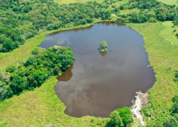 Cortolima rescató el humedal El Silencio en Mariquita