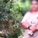 Condenan a mujer por permitir el abuso sexual de su hija por parte de un vecino y su hermanastro en el Tolima