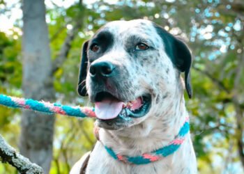 Mailon: ¡De la delincuencia a un hogar lleno de amor!