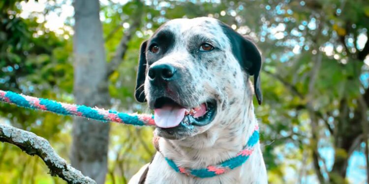 Mailon: ¡De la delincuencia a un hogar lleno de amor!