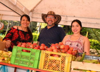 Este sábado será el primer Mercado Campesino en Guamo con familias de «Siembra en Casa-Cosecha en Familia»