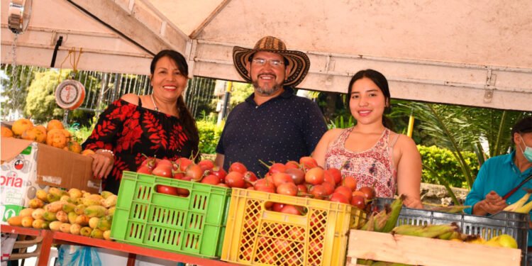 Este sábado será el primer Mercado Campesino en Guamo con familias de “Siembra en Casa-Cosecha en Familia”