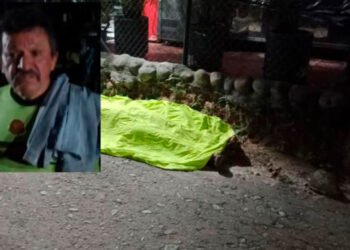 Líder animalista Ángela María Bernal fue asesinada en Mariquita, Tolima