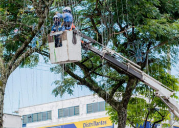 A buen ritmo avanza la instalación del alumbrado navideño en Ibagué