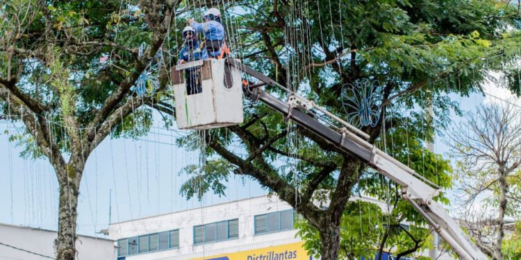 A buen ritmo avanza la instalación del alumbrado navideño en Ibagué