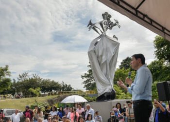 La ‘Flor de Ocobo’ ya se alza imponente en Ibagué