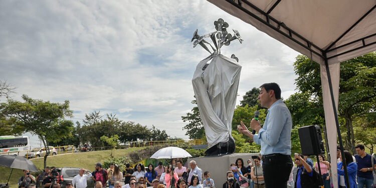 La ‘Flor de Ocobo’ ya se alza imponente en Ibagué