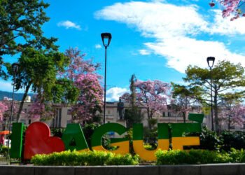 A Ibagué y el Tolima le fue bien con los diálogos vinculantes