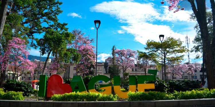 A Ibagué y el Tolima le fue bien con los diálogos vinculantes