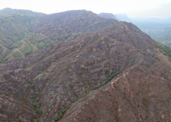 Controlado en su totalidad incendio de cobertura vegetal en corregimiento de Gualanday