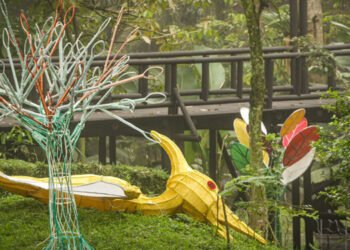 ¡Es hoy! Ibagué encenderá el alumbrado en medio de un show lleno de magia