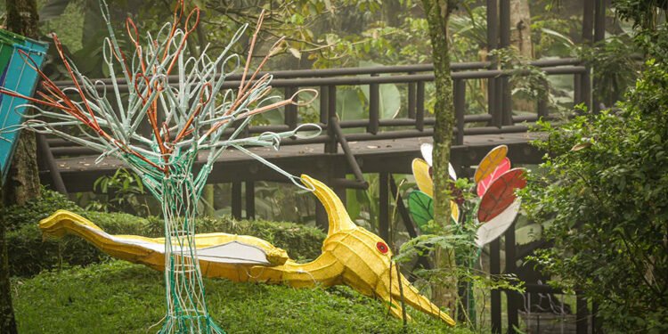 ¡Es hoy! Ibagué encenderá el alumbrado en medio de un show lleno de magia