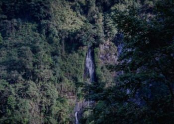 Con la adquisición de predios, Alcaldía trabaja por la conservación ambiental