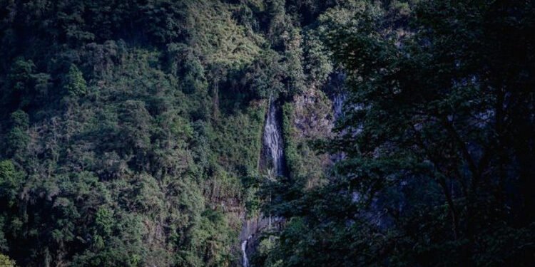 Con la adquisición de predios, Alcaldía trabaja por la conservación ambiental