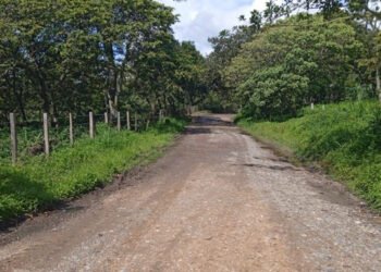 OCAD Centro Sur aprobó proyecto de mejoramiento para vía Prado – Dolores – Alpujarra