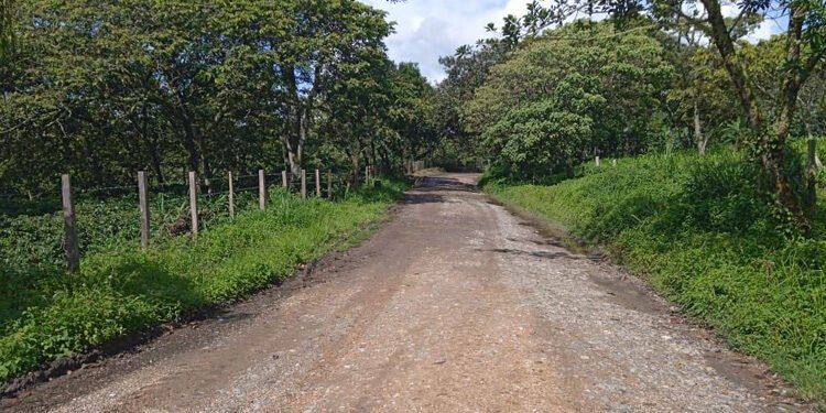 OCAD Centro Sur aprobó proyecto de mejoramiento para vía Prado – Dolores – Alpujarra