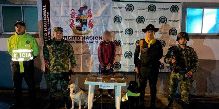 Osaka detectó 3.500 dosis de marihuana&nbsp;&nbsp;