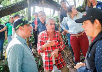 Alcaldía atendió la alerta por creciente del río Alvarado: No hubo heridos ni afectaciones