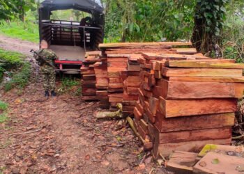 Cortolima y Ejército incautaron madera ilegal en Dolores, Tolima