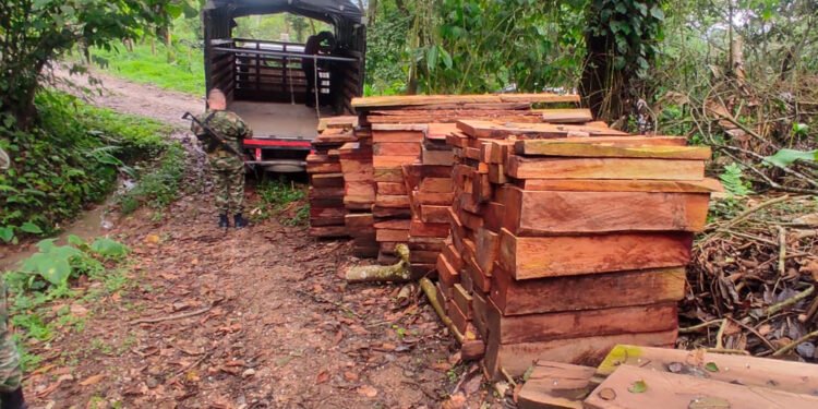 Cortolima y Ejército incautaron madera ilegal en Dolores, Tolima