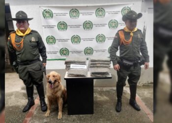 Otro&nbsp;punto más para Jeffry, el canino olfateo 12 mil dosis de marihuana&nbsp;