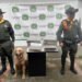 Otro&nbsp;punto más para Jeffry, el canino olfateo 12 mil dosis de marihuana&nbsp;