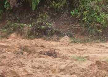 Movilidad dice: “Sí se están enviando líneas de transporte a veredas”&nbsp;