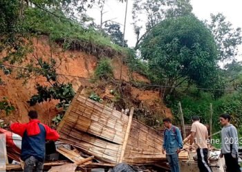 Una casa se vino abajo en vereda La Martinica