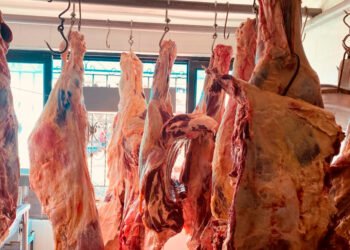 Autoridades cierren establecimiento comercial de venta de carne