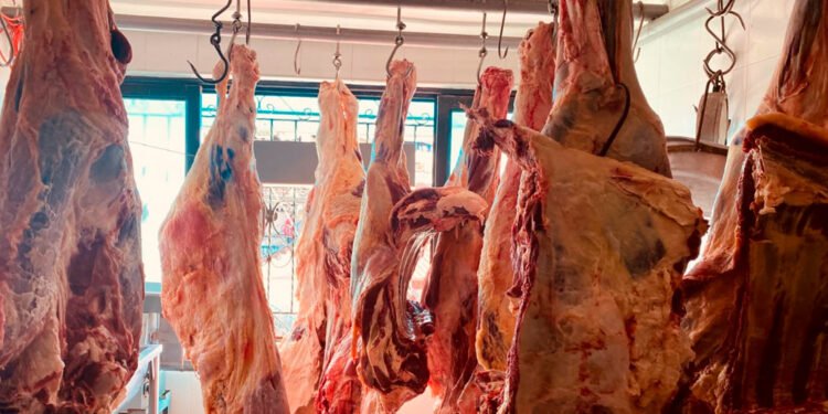 Autoridades cierren establecimiento comercial de venta de carne