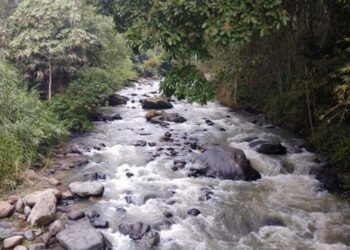 Niña de 14 años fue arrastrada por aguas del río Recio en el municipio del Líbano
