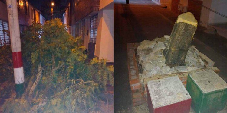 Gestores de información y solución: La Voz del Pueblo atiende caso ambiental en el barrio San Remo&nbsp;