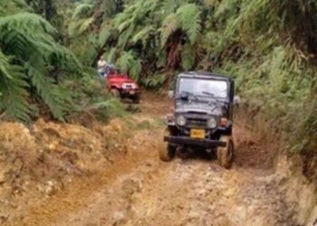 Habitantes del corregimiento Coello Cocora dicen que la alcaldía los ignora y que solo les meten mentiras