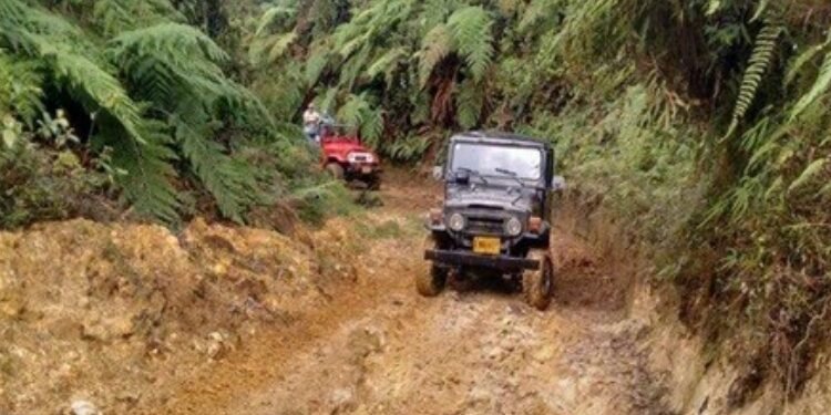 Habitantes del corregimiento Coello Cocora dicen que la alcaldía los ignora y que solo les meten mentiras