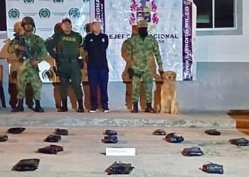 20 kilos de marihuana avaluados en más de 30 millones de pesos fueron incautados por soldados del Ejército Nacional en carreteras del Tolima